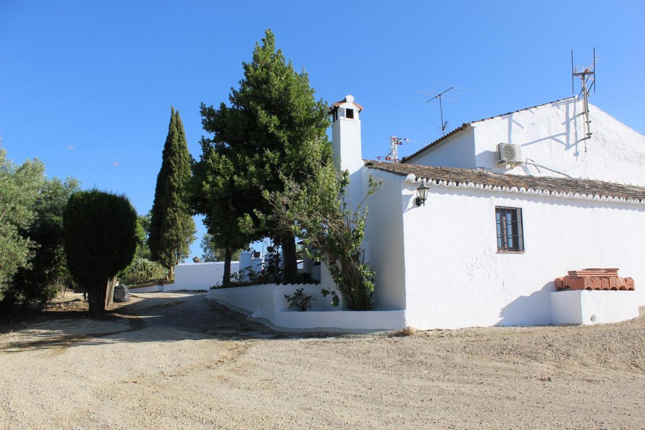 Casa Rural Faltriquera Setenil Setenil De Las Bodegas Extérieur photo