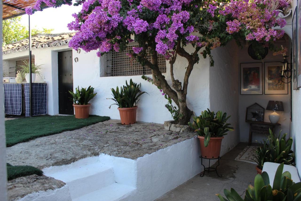 Casa Rural Faltriquera Setenil Setenil De Las Bodegas Extérieur photo